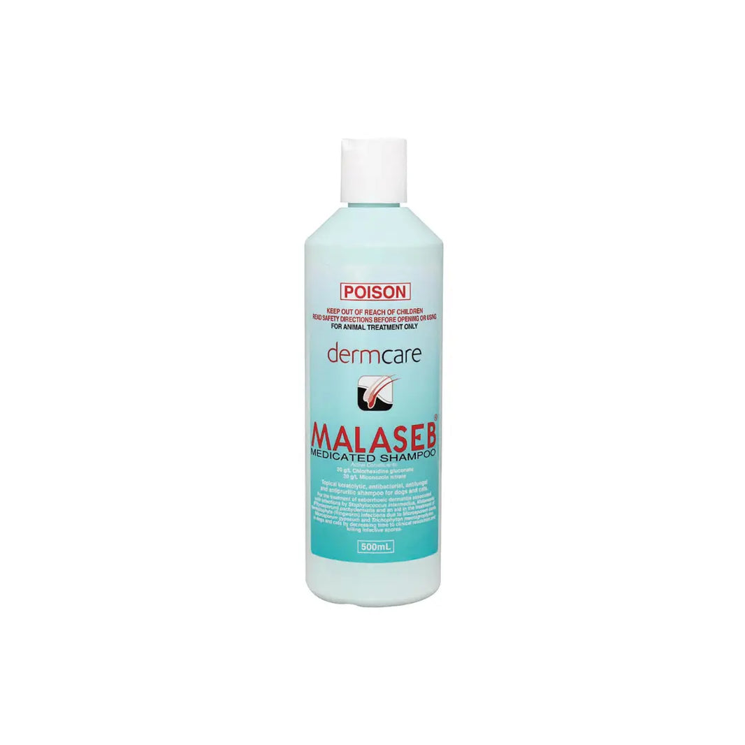 Dermcare Malaseb Medicated Pet Shampoo for Dogs & Cat 250ML Dermcare