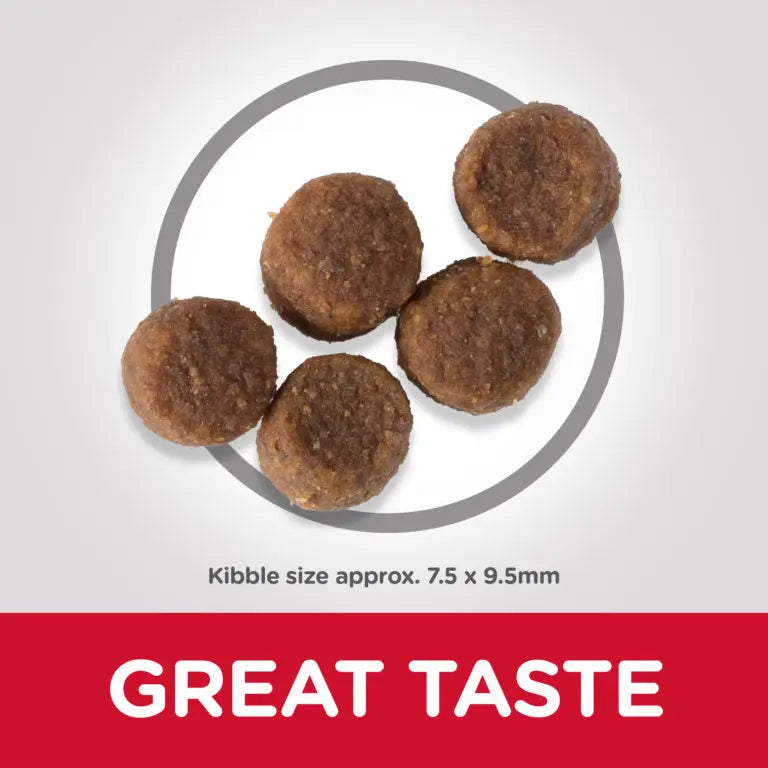 Hill’s Science Plan Medium Puppy Food With Lamb&Rice Hills