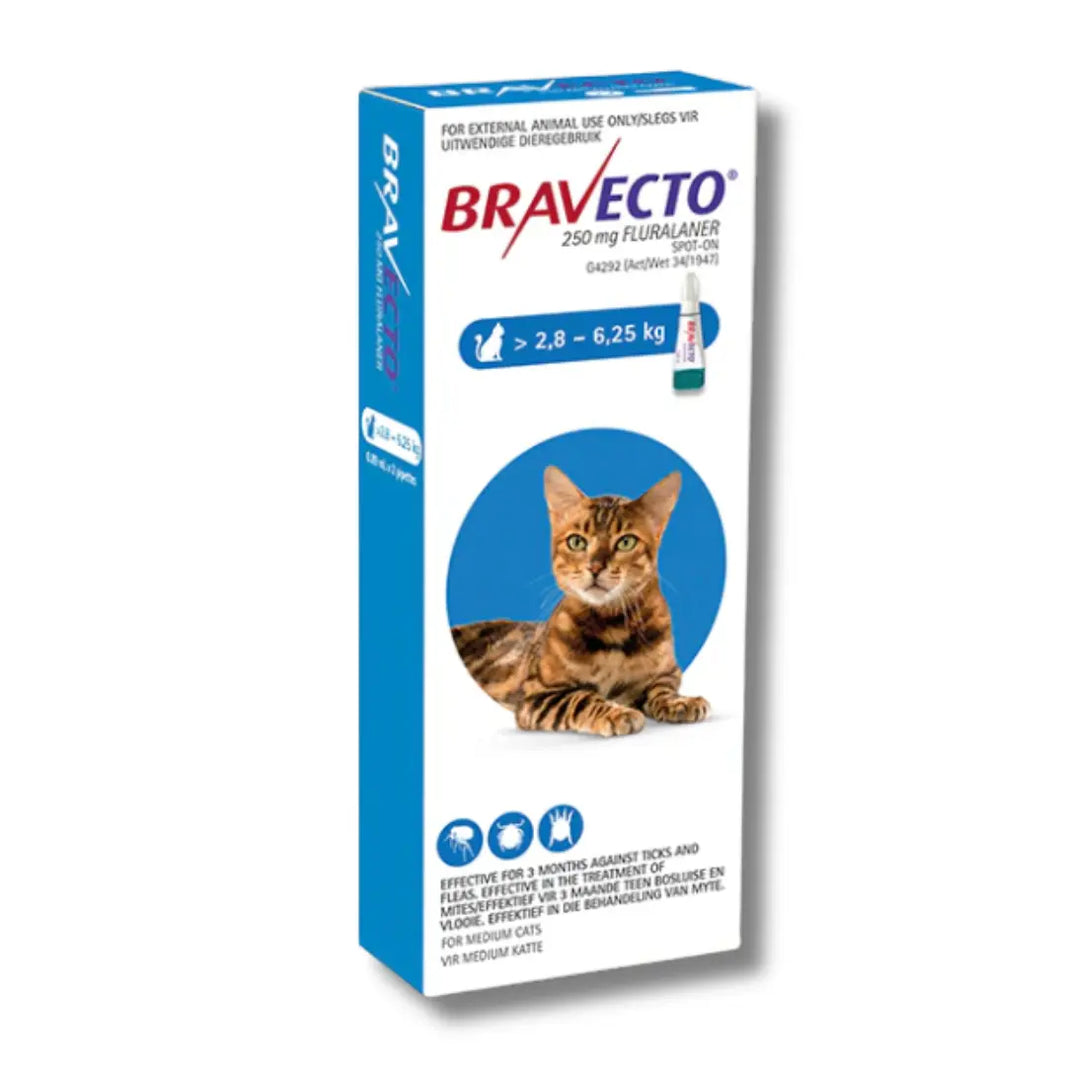 Bravecto Cat Spot On Intervetclinic