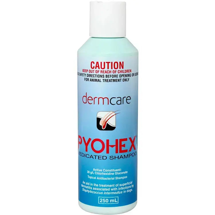 Dermcare Pyohex Medicated Pet Shampoo 250ml Dermcare