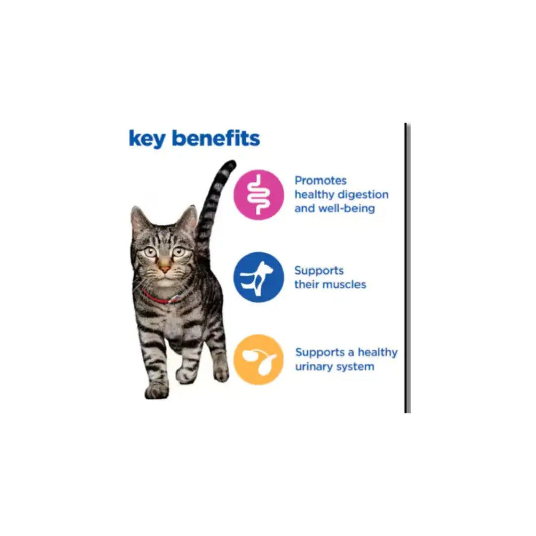 Hill's Vet Essentials Multi-Benefit Adult Dry Cat Food Chicken Hills