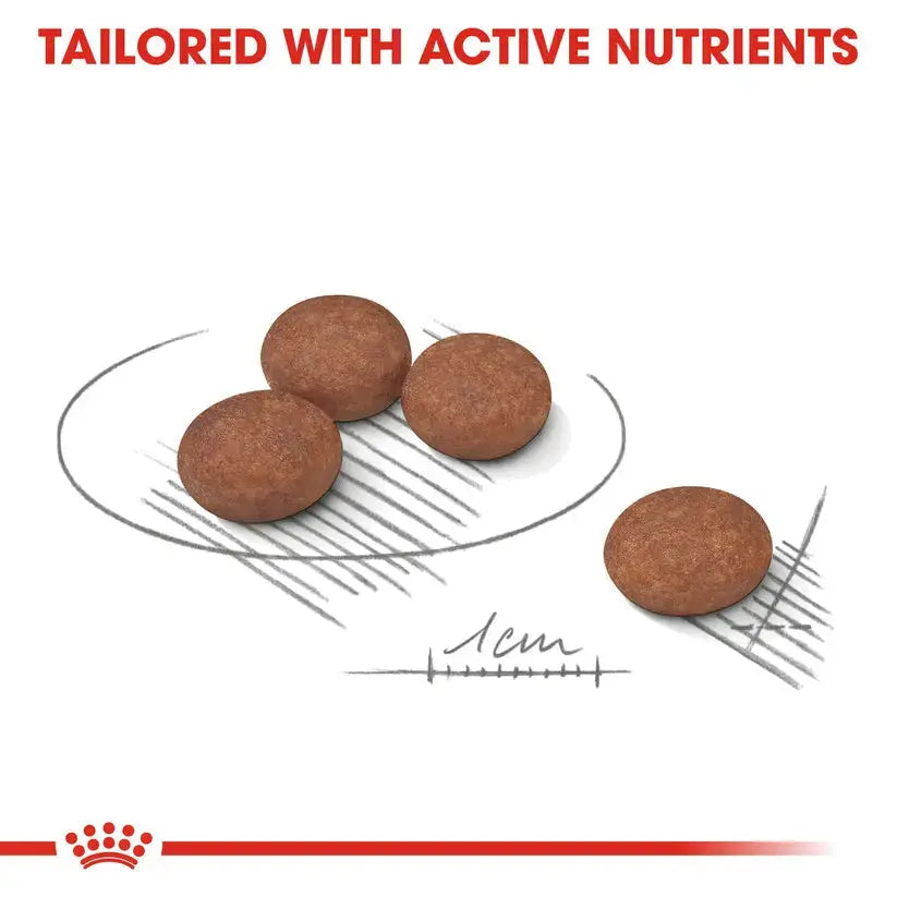 Royal Canin Canine Care Nutritiion Mini Digestive Care 3kg Royal Canin