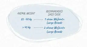 WePharm We Joint Plus Tasty We Pharma