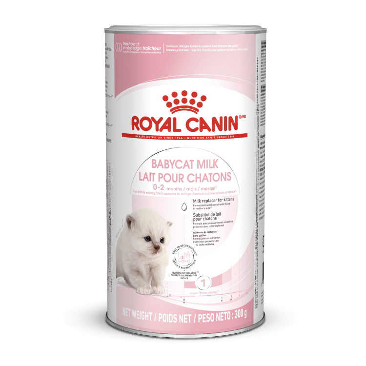 Royal Canin Feline Health Nutrition Babycat Milk 300g