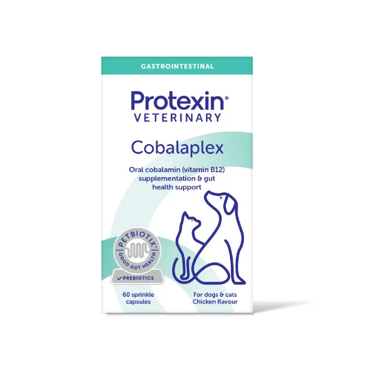 Pro-Kolin Advanced for Dogs 15 ml Protexin