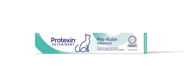 Pro-kolin Advanced for Cats 15 ml Protexin