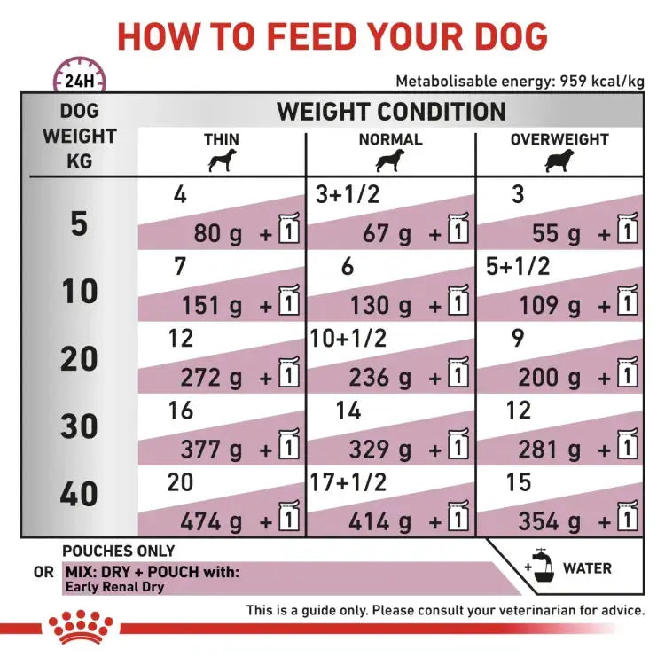 Vet Health Nutrition Canine Renal Wet Food Pouches 100 g Royal Canin