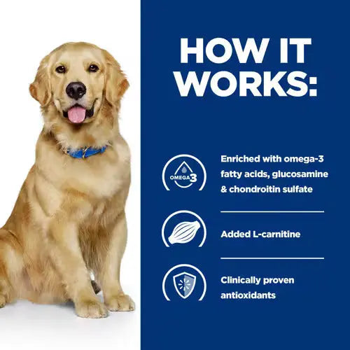 Hill’s Prescription Diet j/d Joint Mobility Canine w/Chicken 12kg Hills