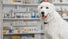 Dog Pharmacy in dubai UAE