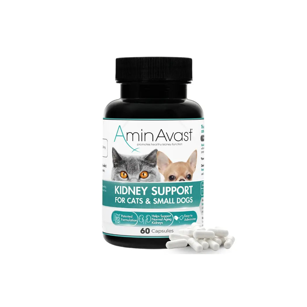 AminAvast Cat and Small Dog Kidney Supplement Supports 60Capsules Amin Avast