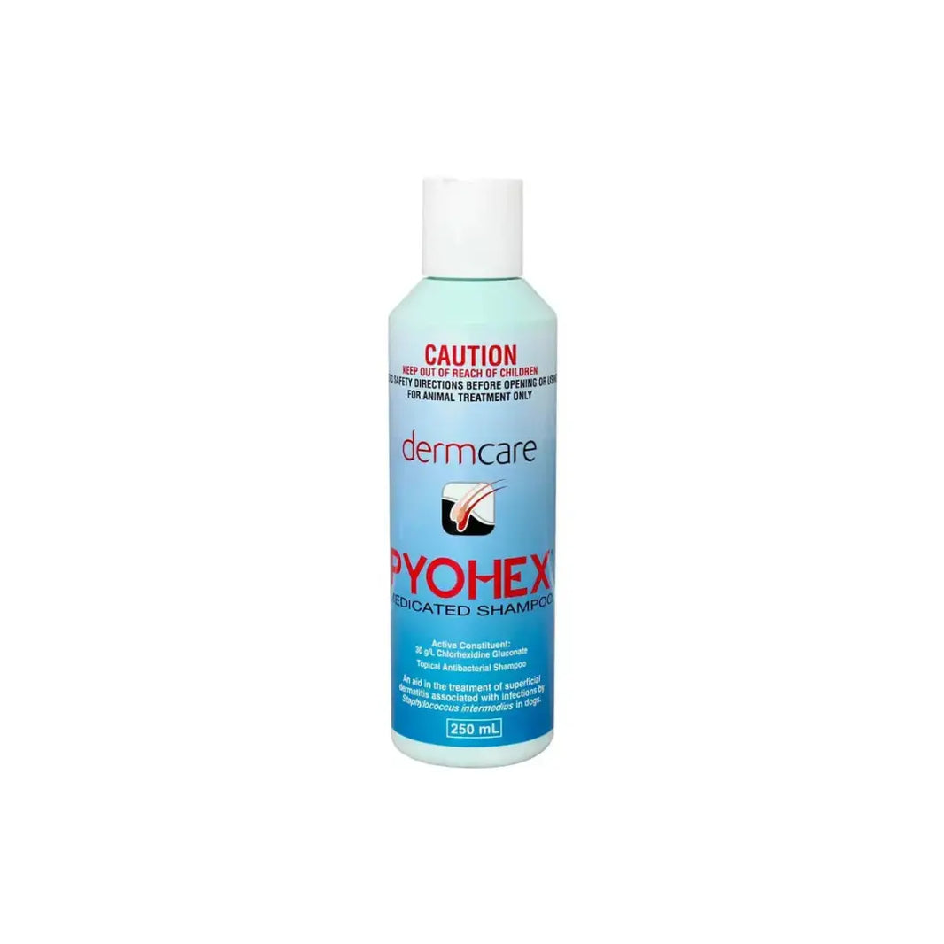 Dermcare Pyohex Medicated Pet Shampoo 250ml Dermcare