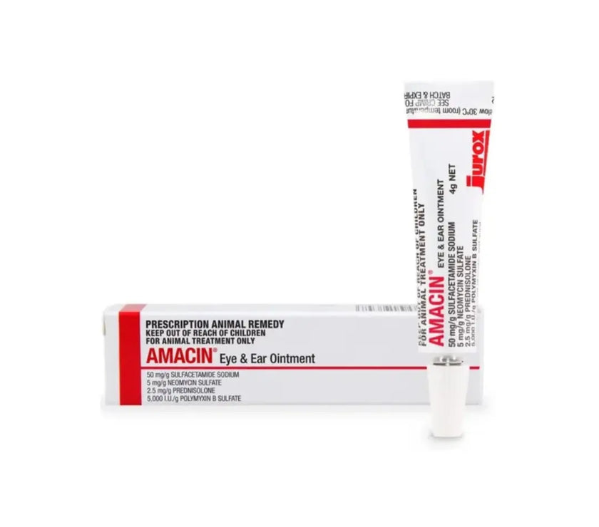 Jurox Amacin Antibiotics Eye and Ear Ointment for Dogs & Cats 4g