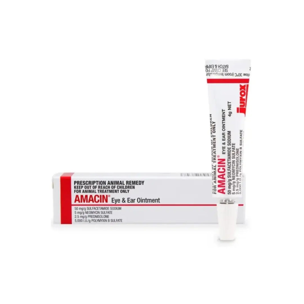 Jurox Amacin Antibiotics Eye and Ear Ointment for Dogs & Cats 4g Jurox