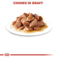 Royal Canin Feline Health Nutrition Instinctive Adult Cats Gravy
