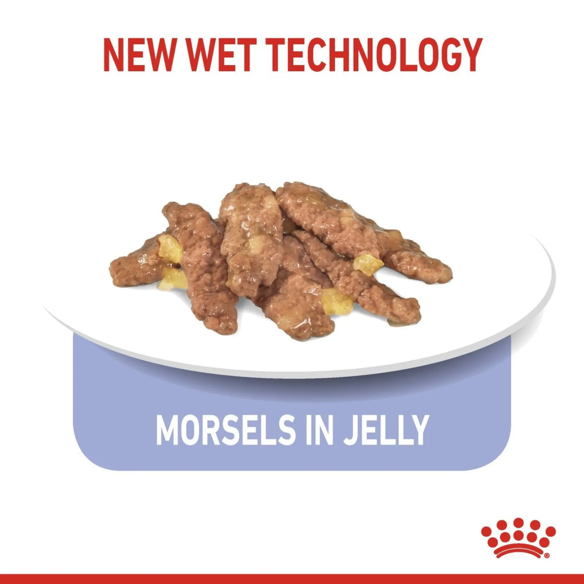 Royal Canin Feline Health Nutrition Indoor Jelly