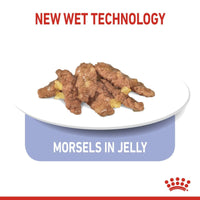 Royal Canin Feline Health Nutrition Indoor Jelly
