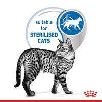 Royal Canin Feline Health Nutrition Indoor Jelly