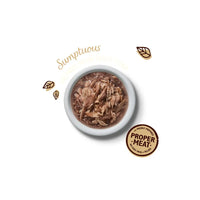 Lily's Kitchen Shredded Fillets Multipack Wet Cat Food 8x70G Lily's Kitchen