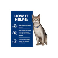 Hill’s Prescription Diet k/d Kidney Care Feline Wet Food with Chicken 156g Hills