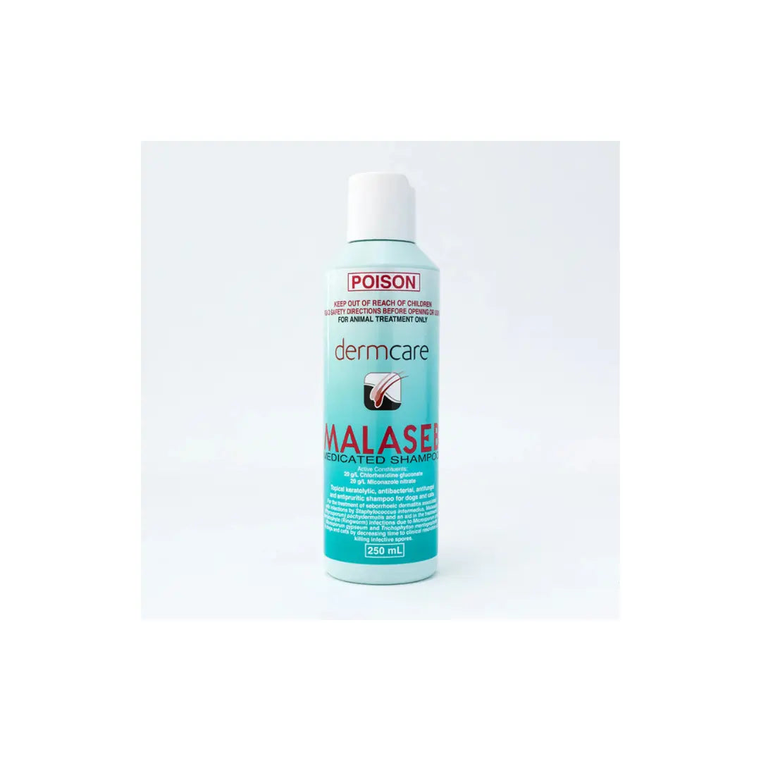Dermcare Malaseb Medicated Pet Shampoo for Dogs & Cat 250ML Dermcare