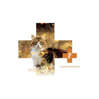 Calibra VD Cans Cat Gastrointestinal 200g Calibra