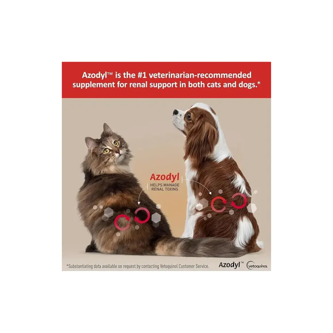 Azodyl Small Capsules Vetoquinol