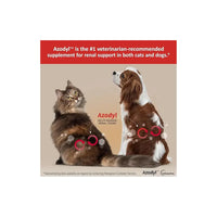 Azodyl Small Capsules Vetoquinol