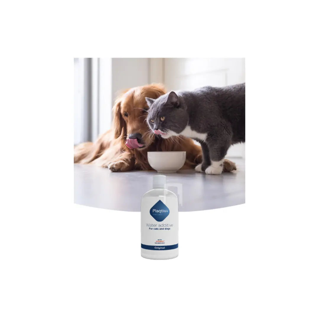 Plaqtiv+® Water Additive 500ml Ecuphar