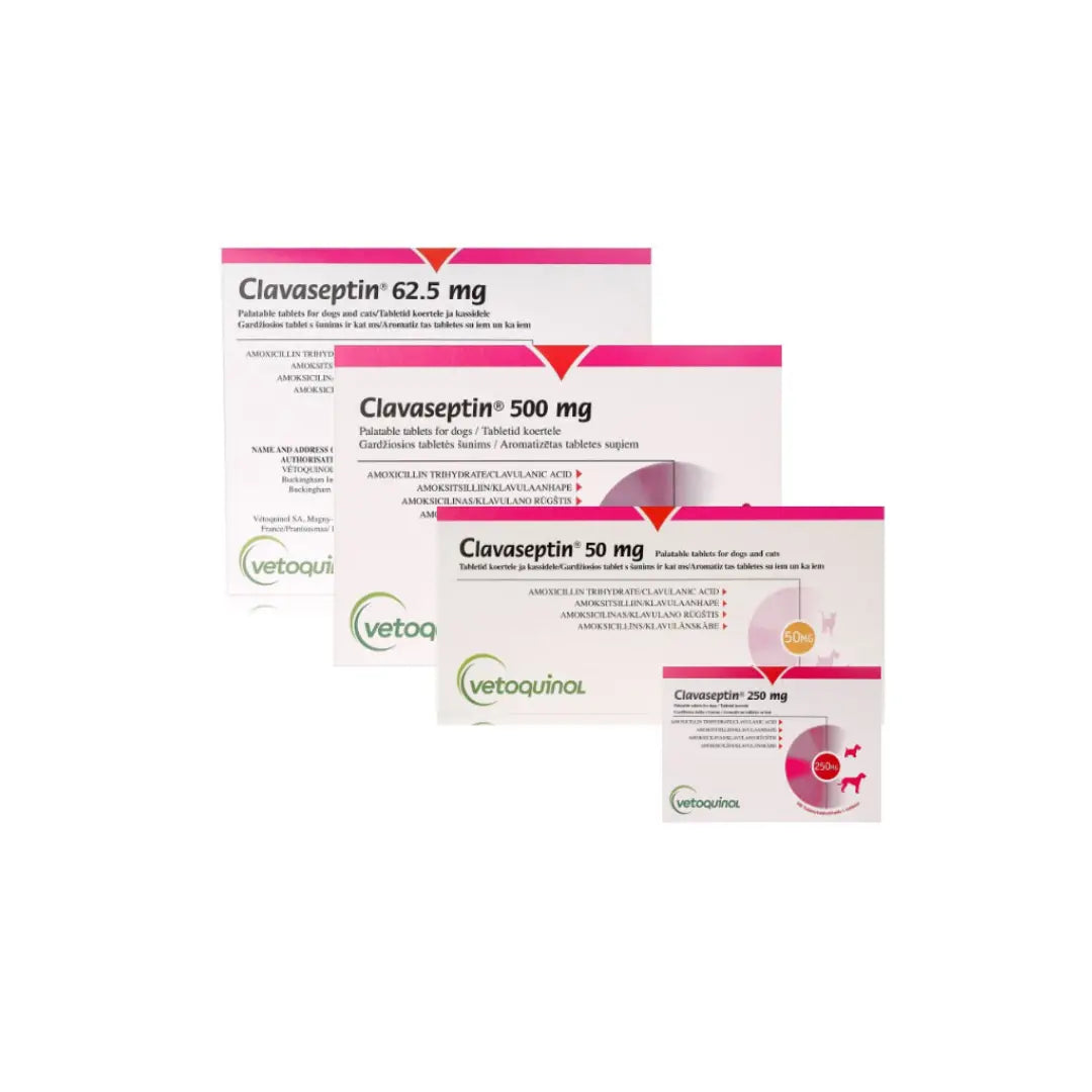 Clavaseptin 50mg per Tablet Vetoquinol
