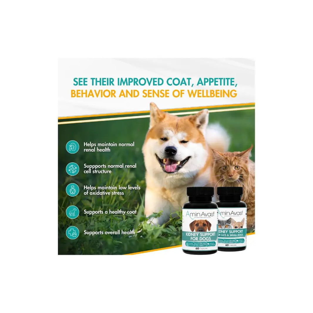 AminAvast Cat and Small Dog Kidney Supplement Supports 60Capsules Amin Avast