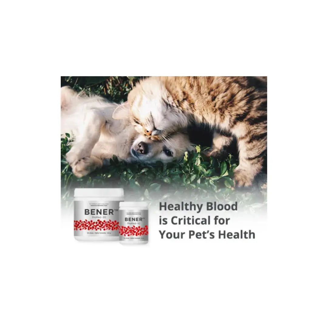 Bener Pro-Red VetNova