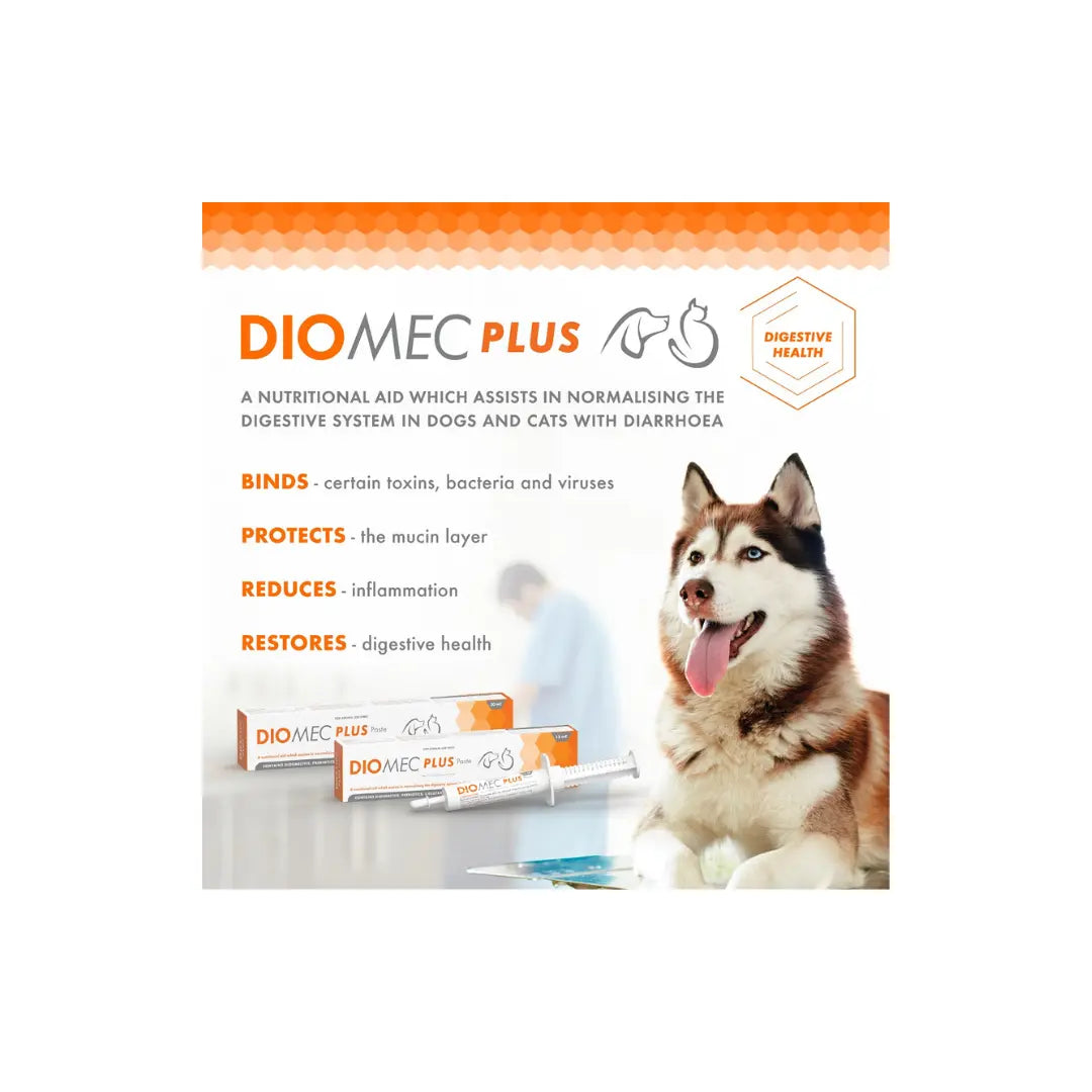 Diomec Plus Paste for Cats & Dogs - Diarreah Relief & Gut Health Diomec