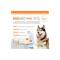 Diomec Plus Paste for Cats & Dogs - Diarreah Relief & Gut Health Diomec