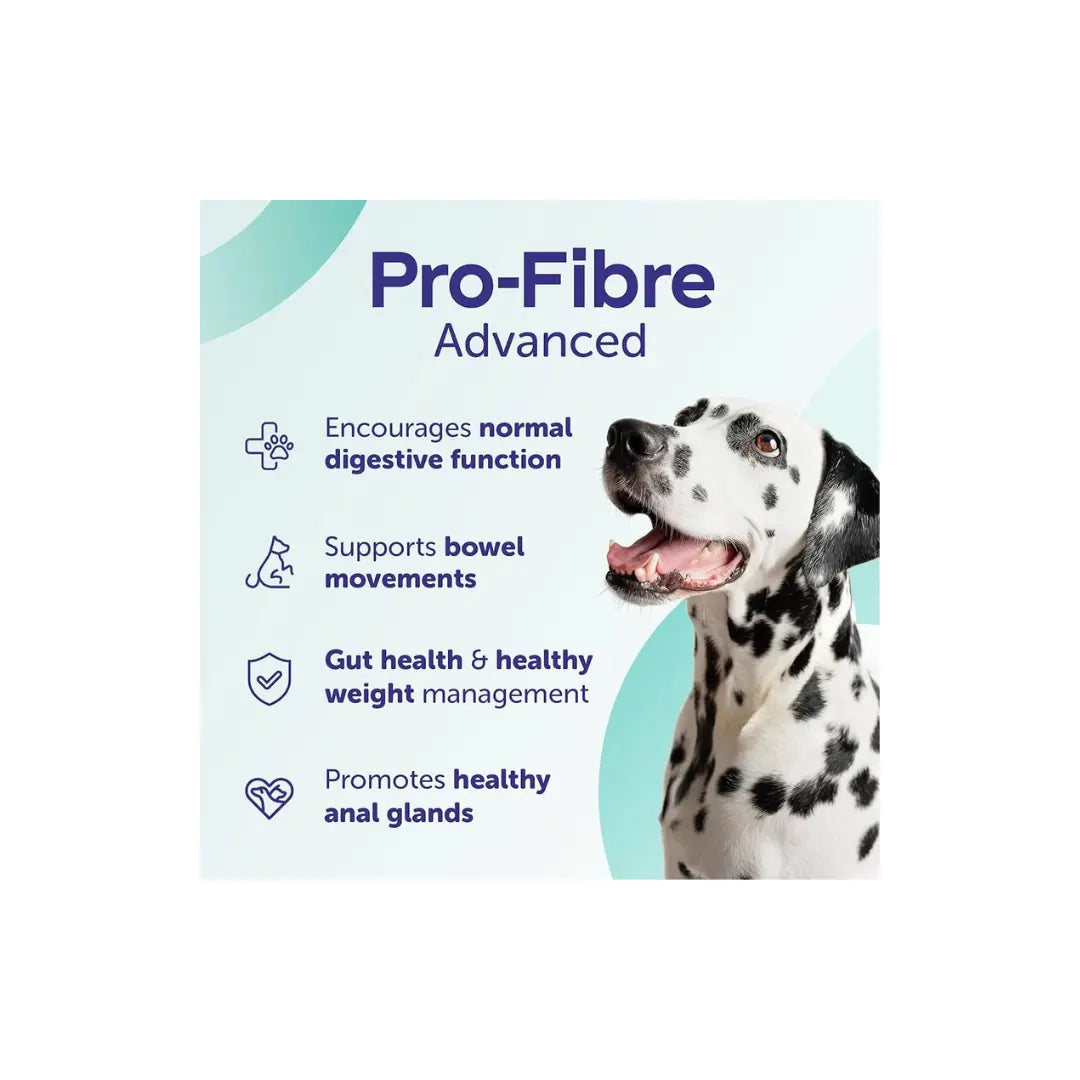 Pro Fibre Advanced for Dogs 500 g Protexin