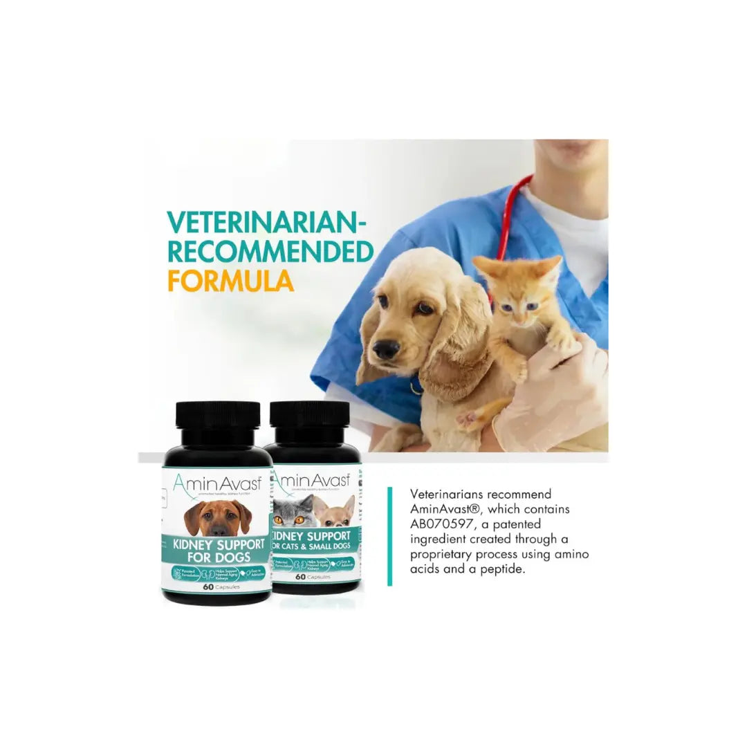 AminAvast Cat and Small Dog Kidney Supplement Supports 60Capsules Amin Avast