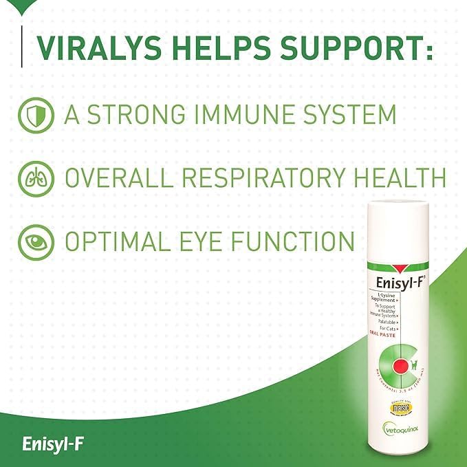 Vetoquinol Enisyl Pump 100ML