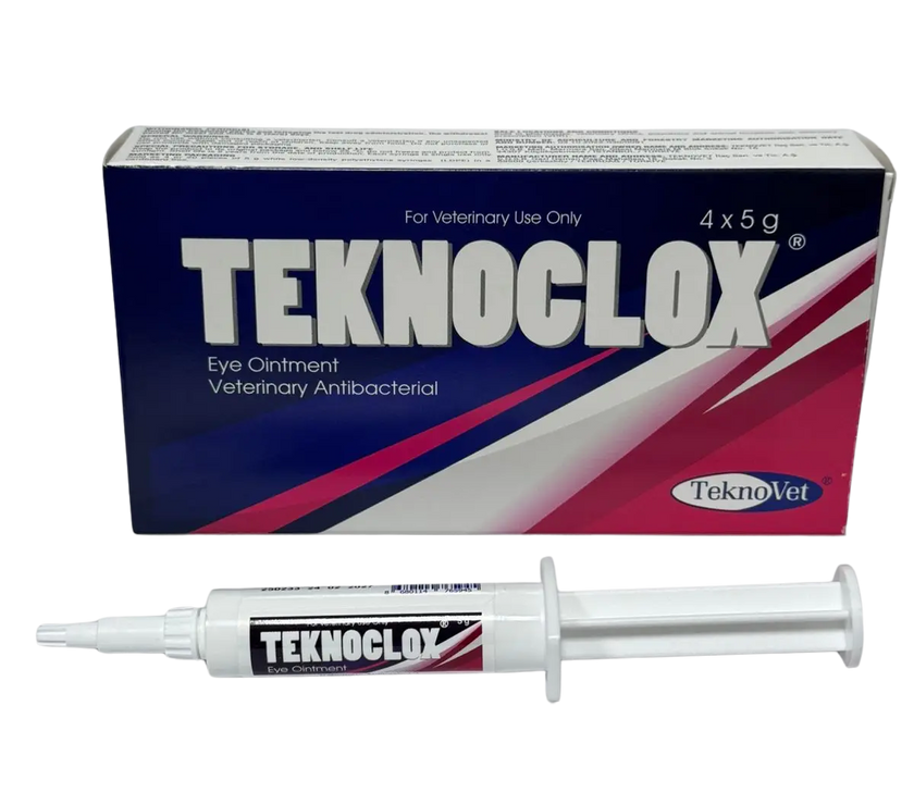 Teknoclox Eye Ointment 5g TeknoVet