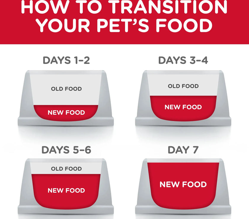 Hill's Science Plan Large Breed Puppt Food with Chicken Hills
