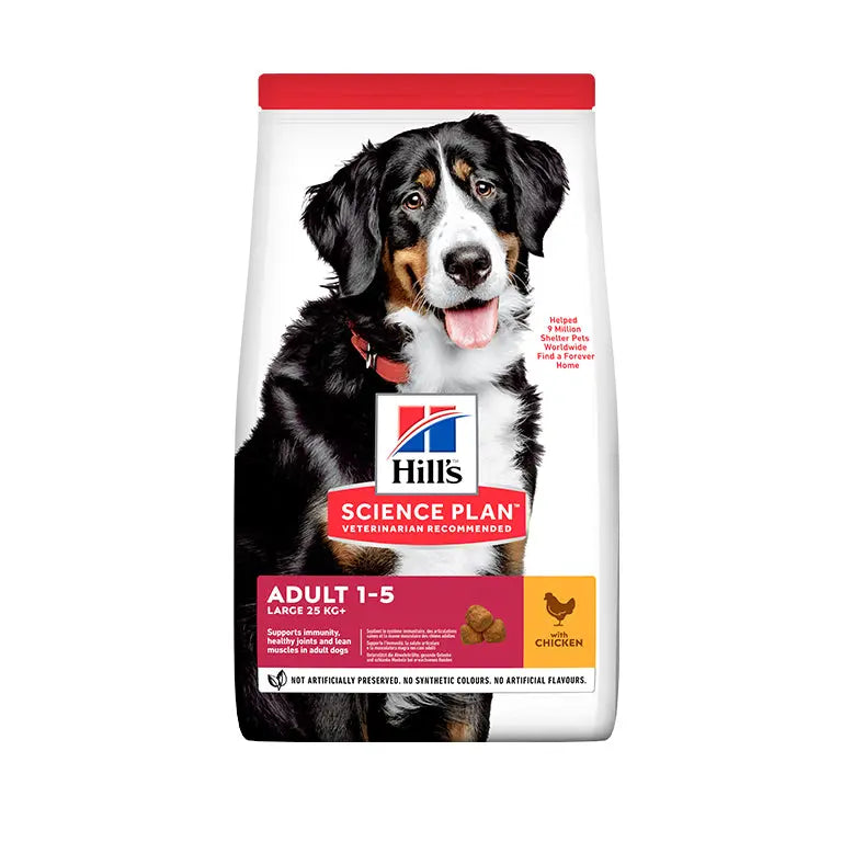Hill’s Science Plan Large Breed Adult Dog Food With Chicken Hills