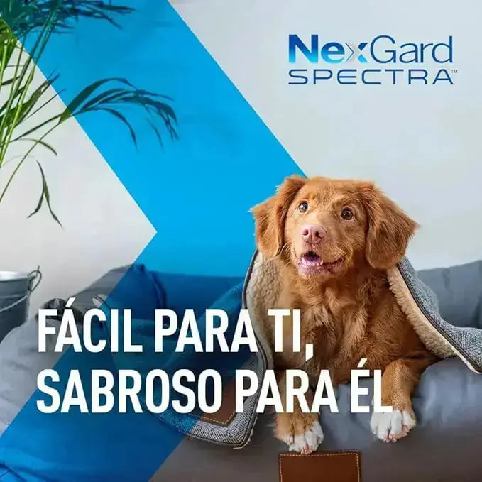 NEXGARD SPECTRA 3 CHEW TABLETS FOR DOGS 2 - 3.5 KG Boehringer Ingelheim