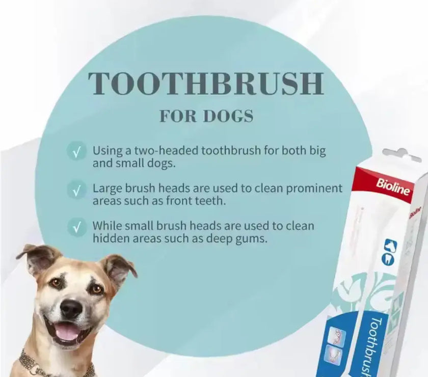 Bioline Toothbrush for Dogs Set 4pcs Bioline