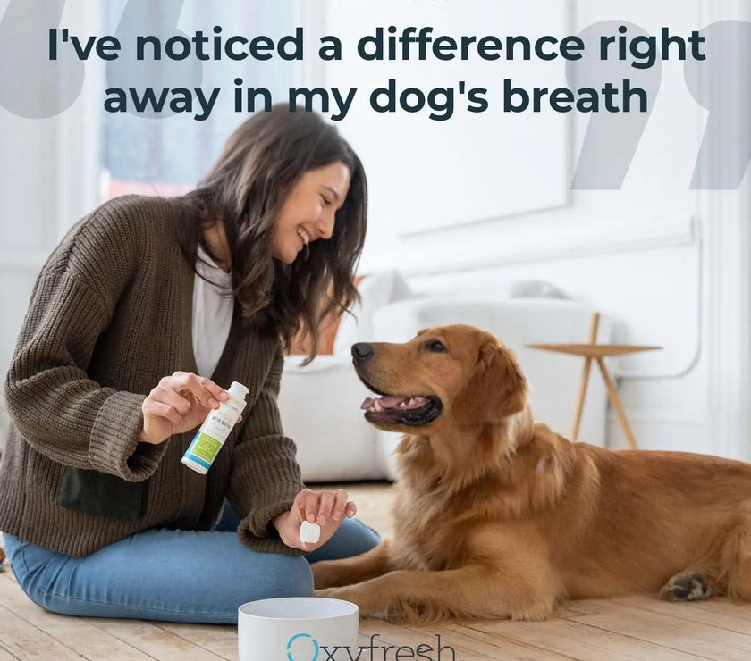 Oxyfresh Premium Pet Dental Kit for Dogs & Cats Oxyfresh