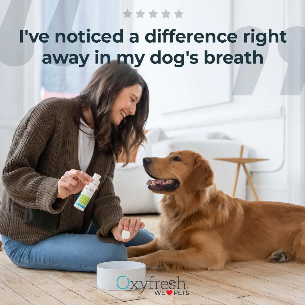 Oxyfresh Premium Pet Dental Kit for Dogs & Cats Oxyfresh