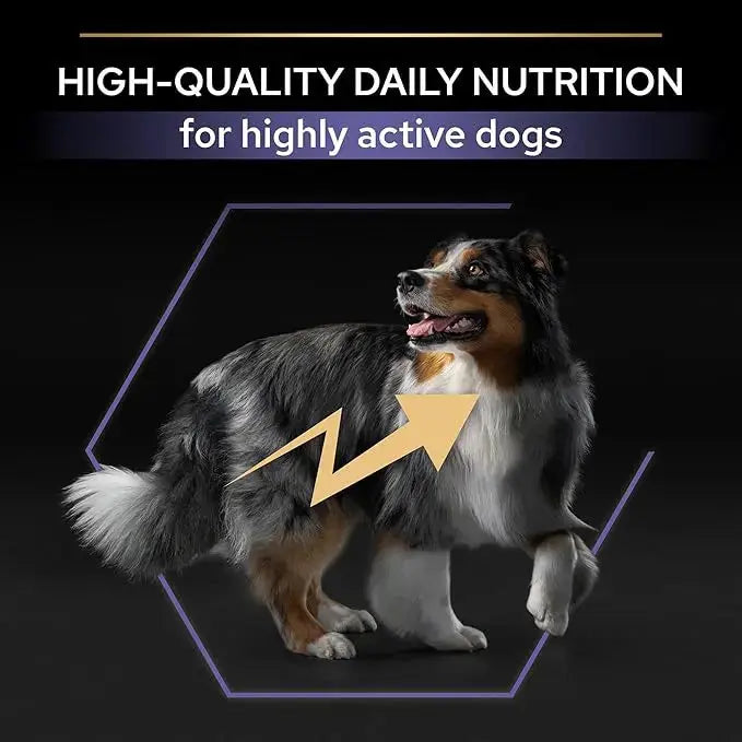 Purina Pro Plan Performance Adult Dry Dog food with Chicken 18 kg Purina Pro Plan