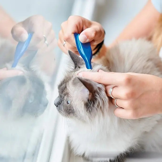 Beaphar Calming Spot-On Beapher