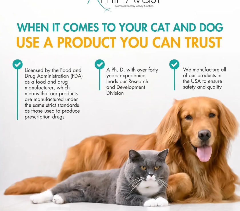 AminAvast Dog Kidney Supplement Supports 60Capsules AminVast