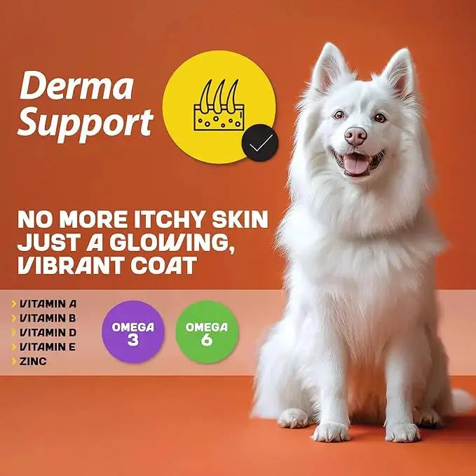 MyFood Adult Medium & Large Breed Dog Dry Food My Food