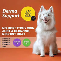 MyFood Adult Medium & Large Breed Dog Dry Food My Food