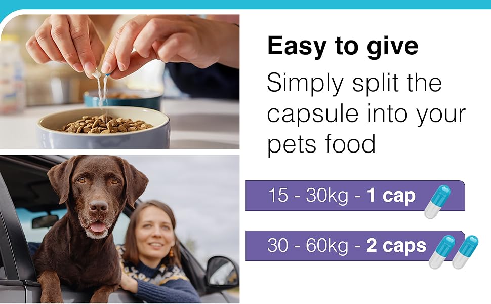 Vetoquinol Zylkene Supplement for Large Dogs 450mg