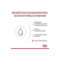 Royal Canin Feline Health Nutrition Babycat Milk 300g Royal Canin